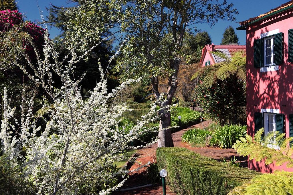 Quinta Santo Antonio Da Serra エクステリア 写真