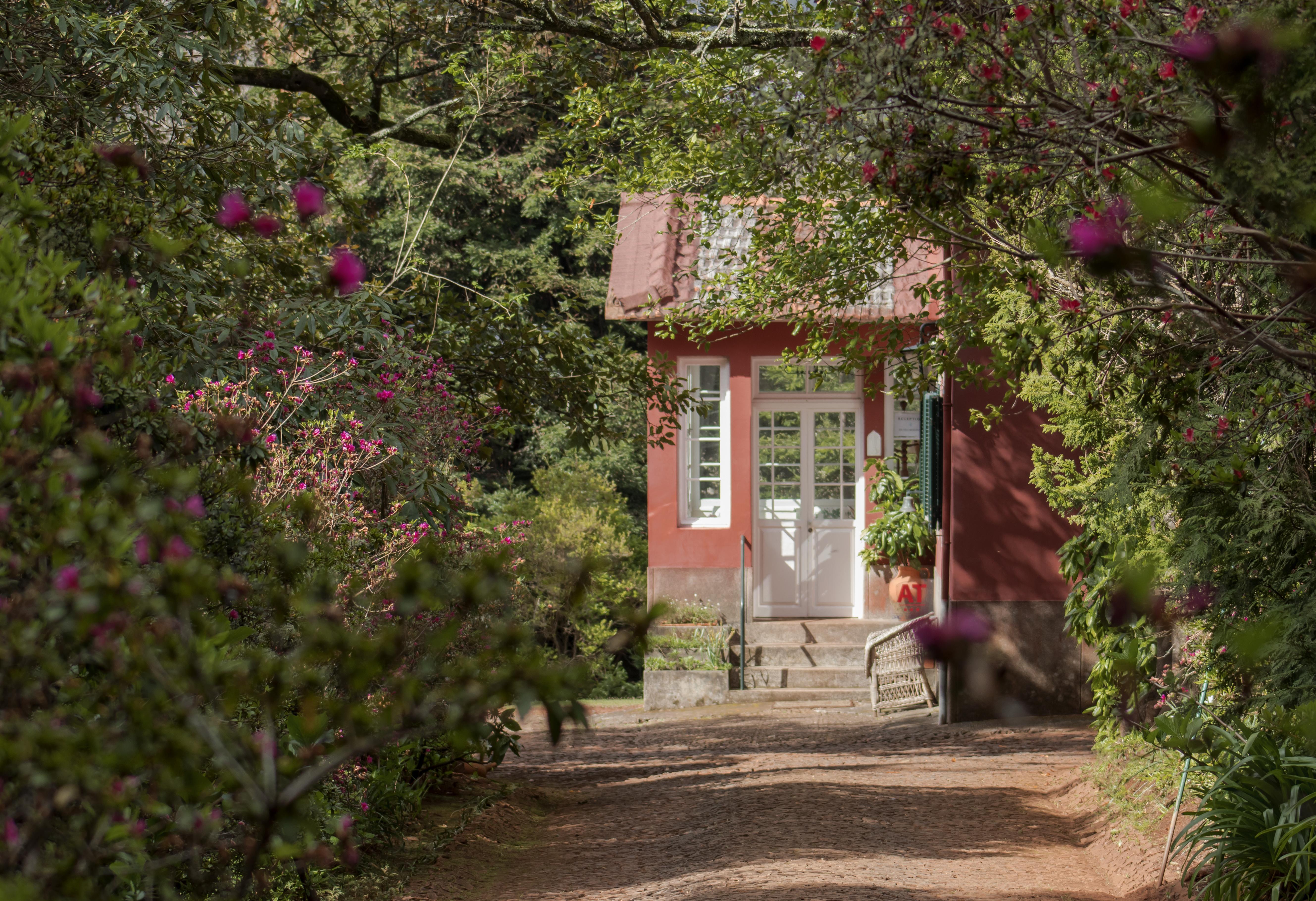 Quinta Santo Antonio Da Serra エクステリア 写真