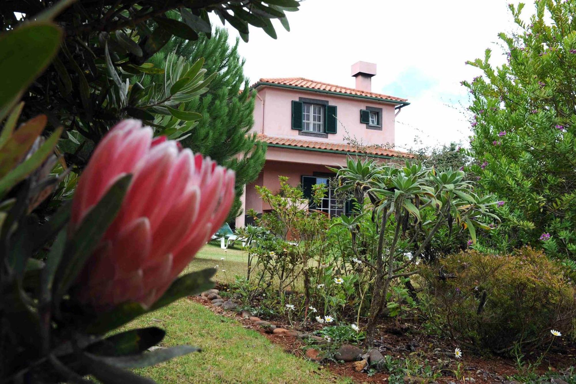 Quinta Santo Antonio Da Serra エクステリア 写真