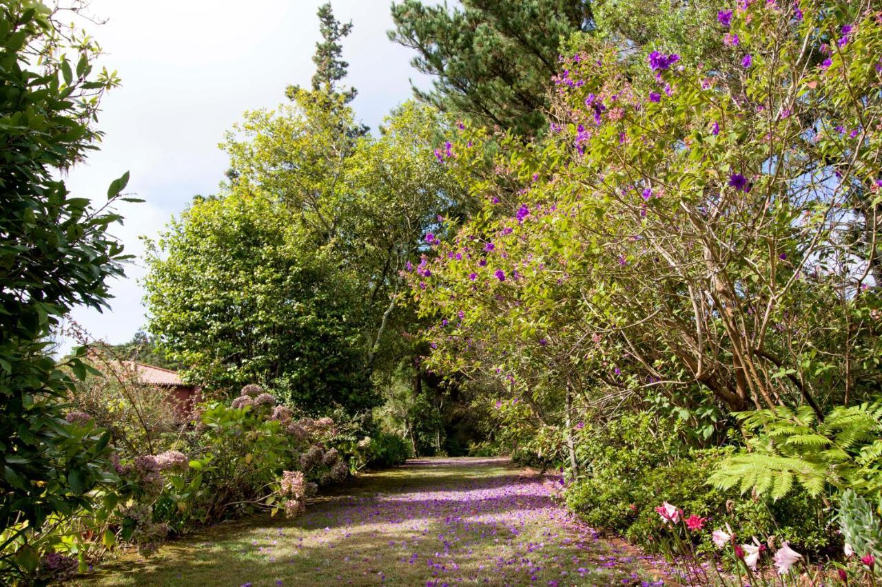 Quinta Santo Antonio Da Serra エクステリア 写真