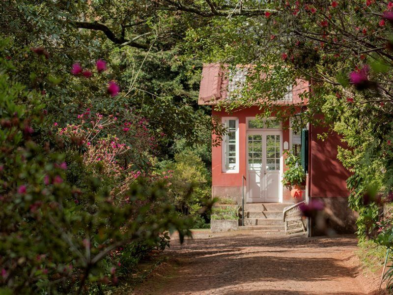 Quinta Santo Antonio Da Serra エクステリア 写真